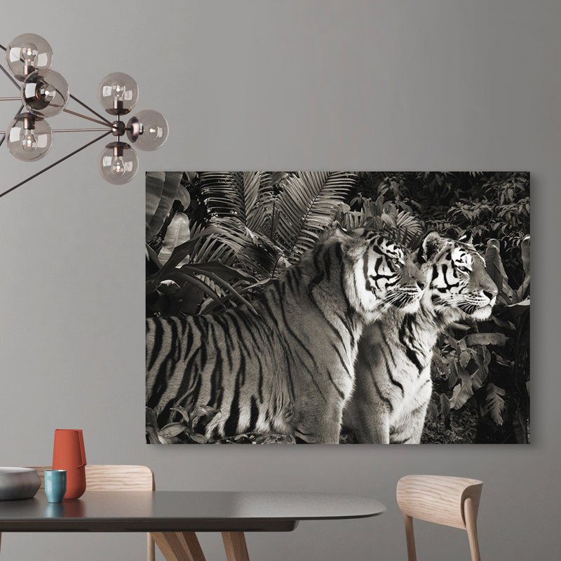 Two Bengal Tigers (BW) - Wrapped Canvas Print, 70cm H x 100cm W x 4cm D