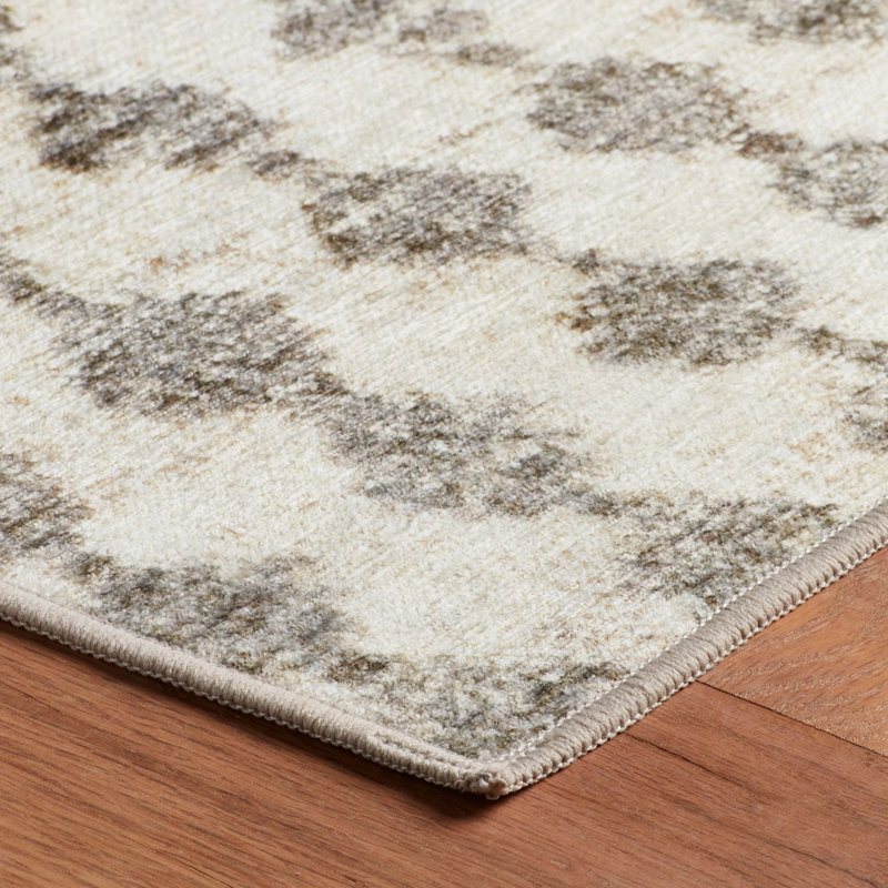 Izzy Grey Machine Washable Rug, Rectangle 4' x 6'