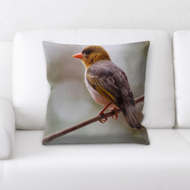 Coussin weaver