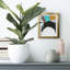 Graphica IIIP Premium Gallery-592827376-592827341