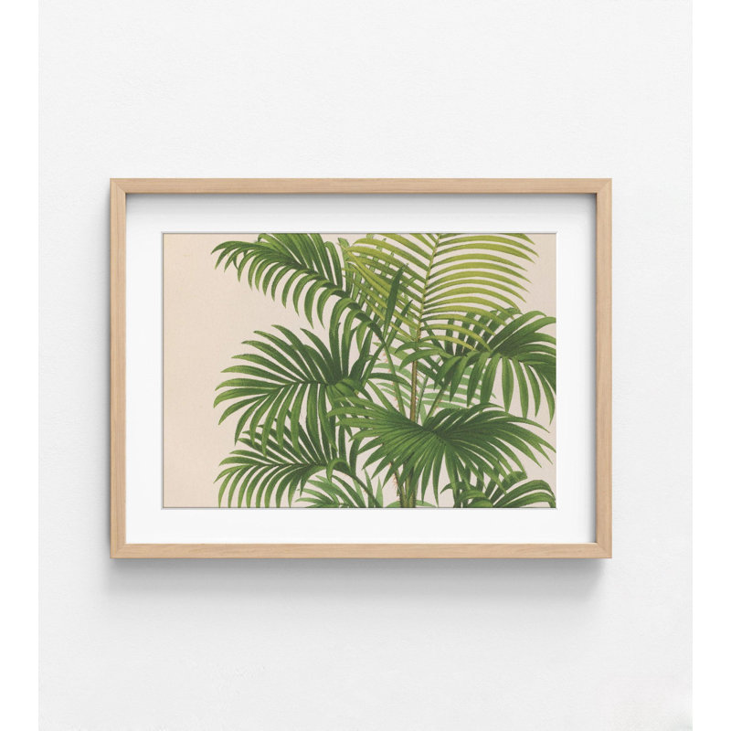 Photographie de plante tropicale, art mural de pavillon rustique botanique, affiche de décoration murale feuille tropicale