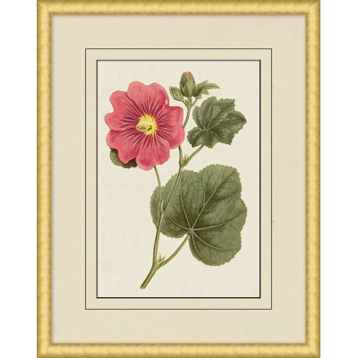 Fresh Flowers 8 Print