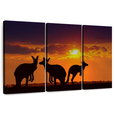 Safari kangourous au coucher du soleil