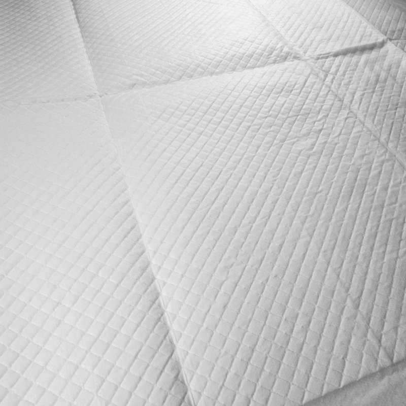 Pet Pee Pad
