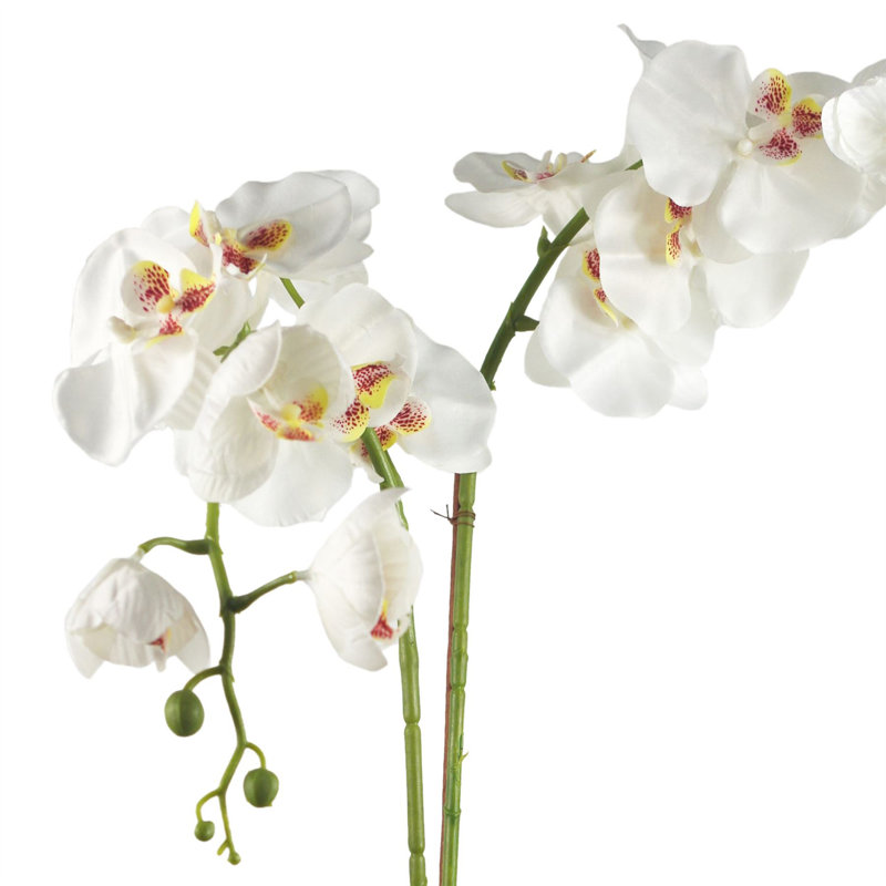 Fabric, Plastic, Faux Silk Artificial Arrangement in Planter, White
