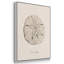 Shore Treasure Study I 3 pièces-97711701-97711695