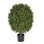 Faux Boxwood Topiary