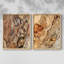 «Tree Texture Triptych I», reproduction encadrée de qualité supérieure - prête à être accrochée - aucun clou requis - aucun clou requis-856860636-856860639
