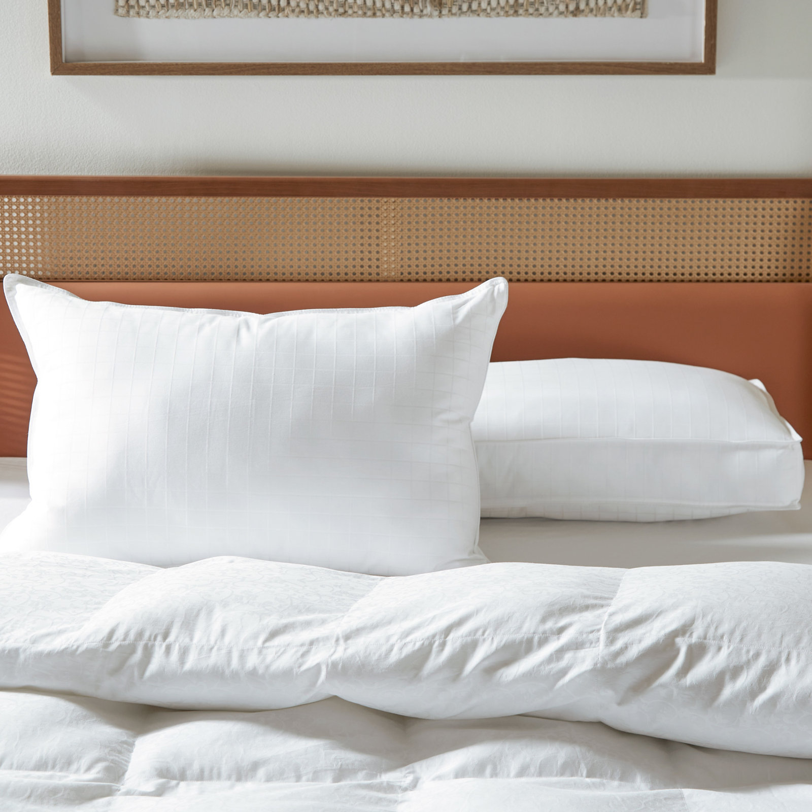 Wayfair Sleep Firm Support Pillow, Queen, Medium