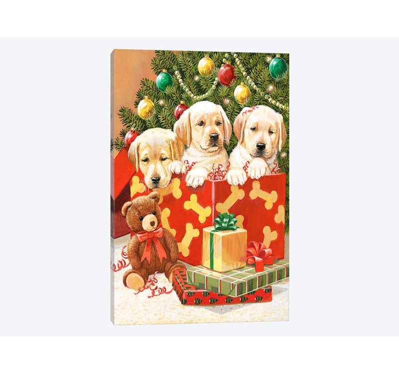 William Vanderdasson - Wrapped Canvas Print, 66.04 cm H x 45.72 cm W x 3.175 cm D