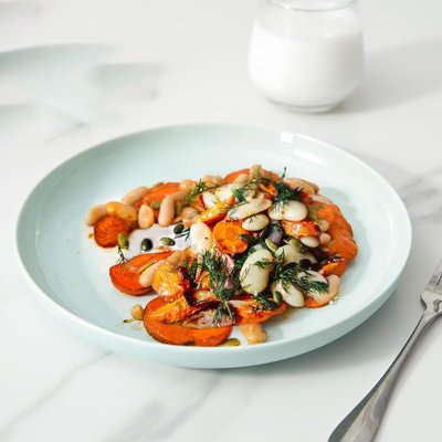 Dinner Plate 9 inch,Ceramic Salad plate sets,Dishwasher Microwave Oven Safe