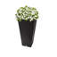 Valencia Planter-1610035897-1610035898