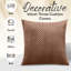 Chevron Square Cushion-119266318