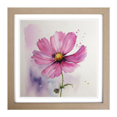 Cosmos Watercolour No.3 - Framed Print
