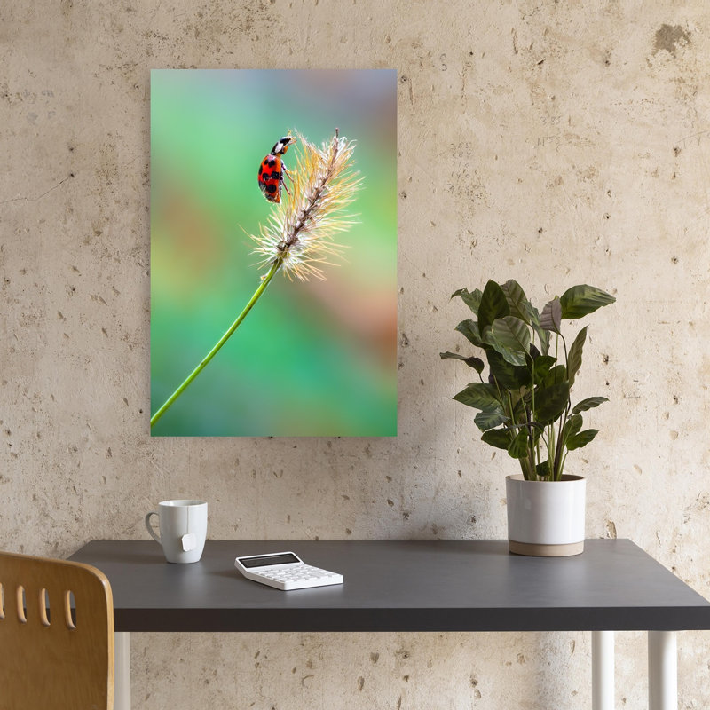 Red Ladybug On Grass Delicate Vibrant Contemporary Ladybug Nature Plant Wall Art Print 1 Piece Wrapped Canvas Wall Art