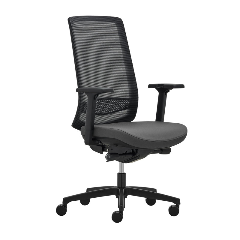 Manjula Foam Padding Office Chair, Gray