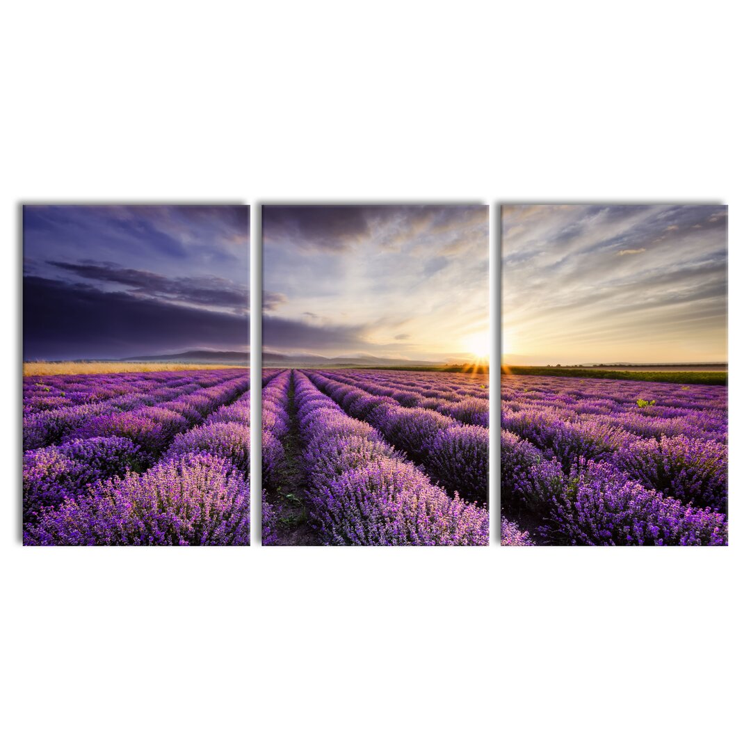 3-tlg. Leinwandbilder-Set Traumhafte Lavendel Provence