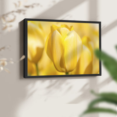 Sunshine Yellow II -Framed Print - Restickable