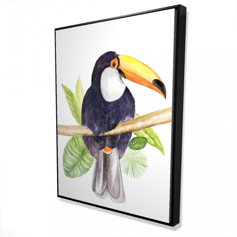 " Toucan "