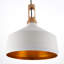 Rickey 1 - Light Dome Pendant-15856845