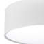 Parvin Flush Mount-1793923100-1793923084