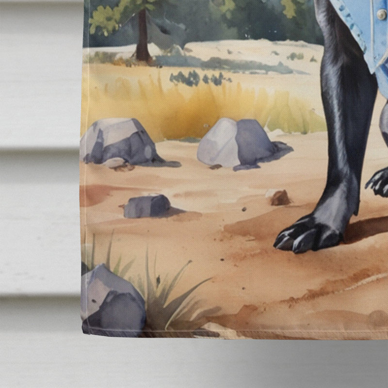 Drapeau Cowboy Welcome House, Carlin