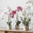 50cm Faux Flowering Plant in Ceramic Pot-396295613