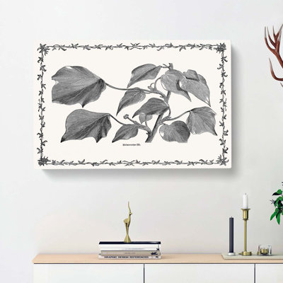 The Ivy Melanocarpa by Shirley Hibberd - Wrapped Canvas