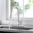 Vetta Pull Down Kitchen Faucet-100749373