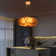 Modern Feather Pendant Light Ceiling Mounted Lighting Fixture