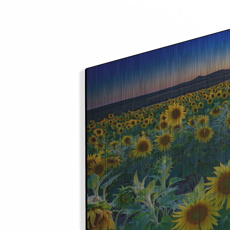 Mur de métal «Sunset In Aroostook County» par Rick Berk, H 12 po x l 16 po