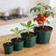 Paquet de 16 pots de chambre de bébé vert 4/6/8/10 po, en plastique épaissi avec drainage, intérieur / extérieur