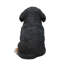 Bernese Mountain Dog Puppy Statue