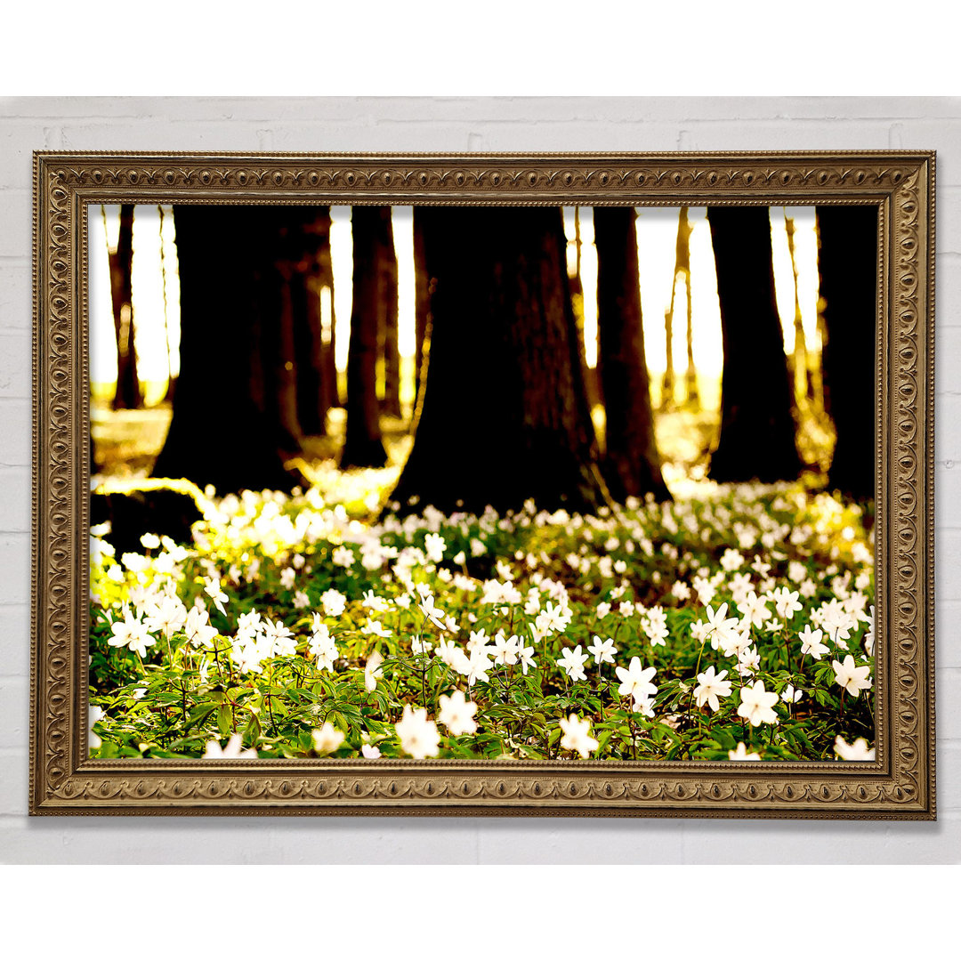 Gold Wald Blumen - Druck