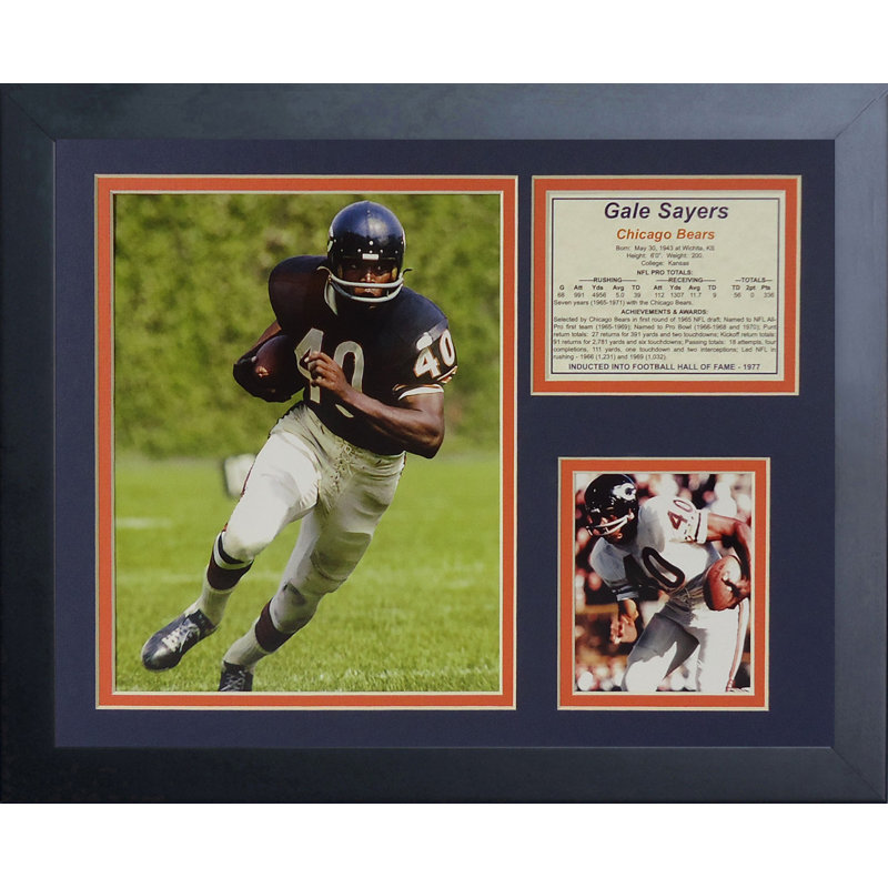 Memorabili encadrée gayle chicago ours sayers