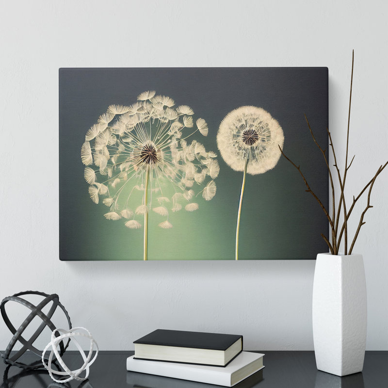 Wholesome Dandelion Flowers - Wrapped Canvas, 35cm H x 50cm W x 3cm D