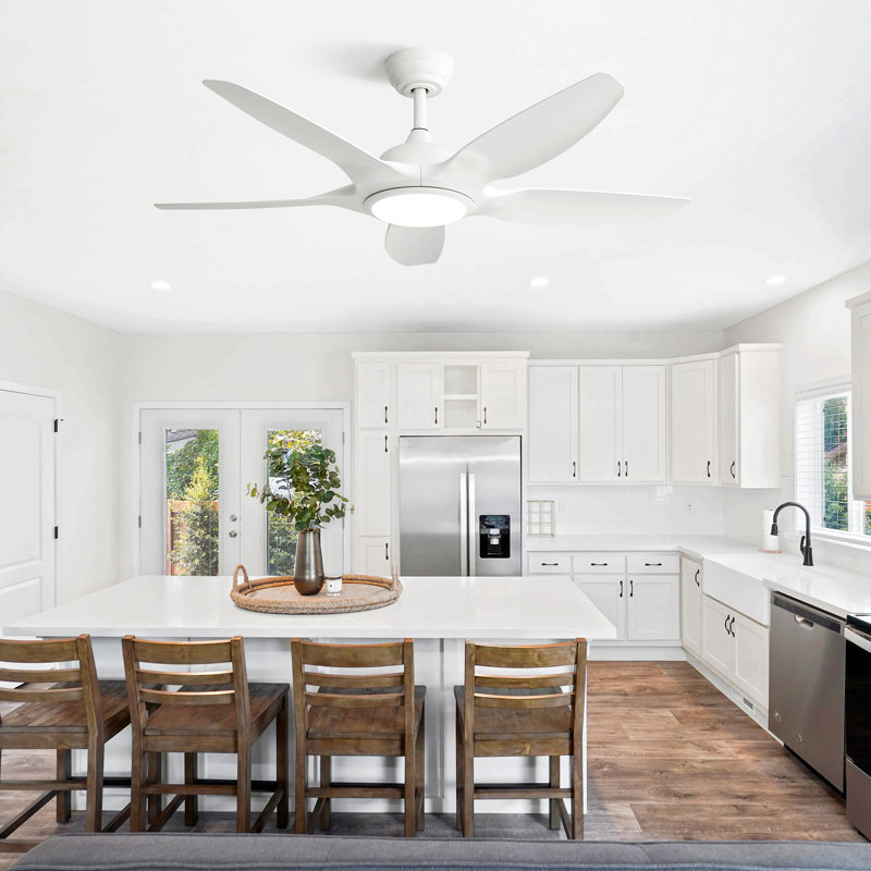 48 Inch Ceiling Fan With Dimmable LED Light And Remote Control, 5 ABS Blades DC Motor White, White
