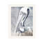PELICAN, reproduction d'art encadrée blanche