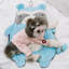 Tapis pour chien de caractère Touchdog «Critter Hugz»