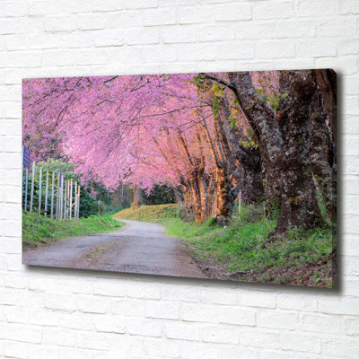 Cherry Blossoms - Wrapped Canvas Print