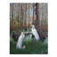 «Snowy White Egret Nesting» par Carol J Rupp, reproduction sur toile-31975369