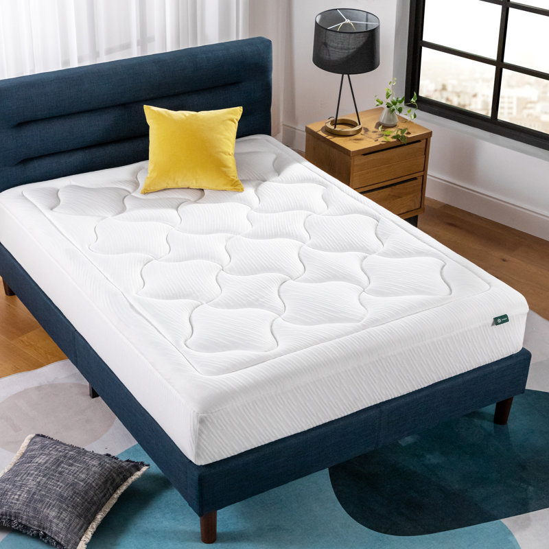 Matelas en mousse viscoélastique pelucheux 10 po zinus, Simple
