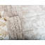 Brandt Oriental Area Rug-1510066379