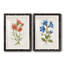 Botanical I - 2 Piece Print-271774477-271774448-271774445