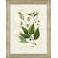 Burgelbaum Print