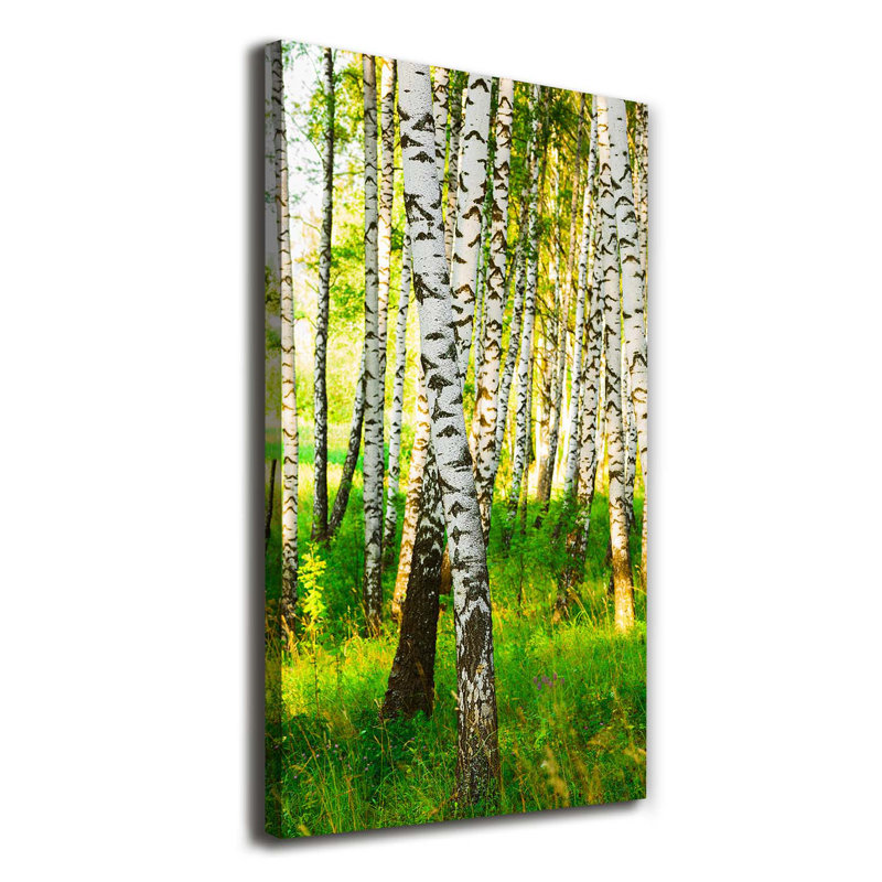 Birch Forest - Wrapped Canvas Print