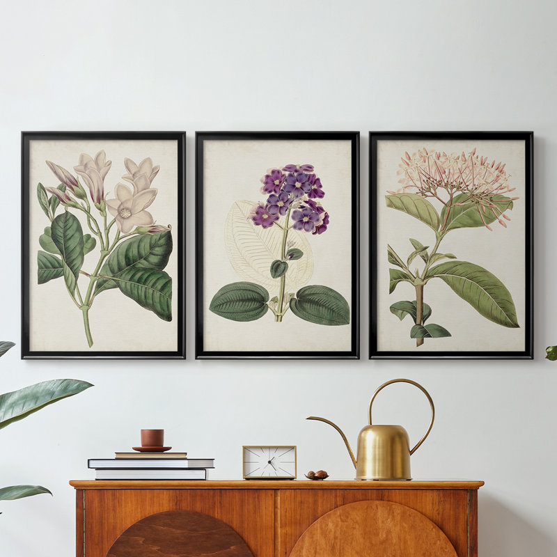 Antique Antique Botanical Collection, H 27 po x l 39 po, Noir