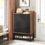 20 Pair Shoe Storage Cabinet