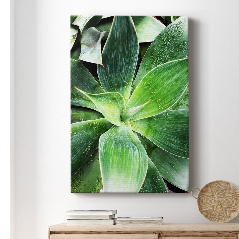 Green Tropical Succulent IV - Photographie sur toile tendue, H 18 po x l 12 po x P 1,5 po