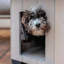 Wood Portable Dog House-88709322